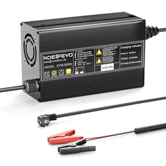 Noeifevo 14.6V 20A LiFePO4 Caricabatteria per 12V 12.8V LiFePO4 Batteria