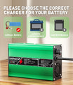 NOEIFEVO 58.4V 3A Caricabatterie LiFePO4 per batteria LiFePO4 16S 48V 51.2V, con ventilatore di raffreddamento, spegnimento automatico (VERDE)
