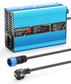 NOEIFEVO 25.2V 2A 3A 4A 5A Caricabatterie al litio per batterie Li-Ion Lipo 6S 22.2V, ventilatore di raffreddamento, spegnimento automatico (BLU)